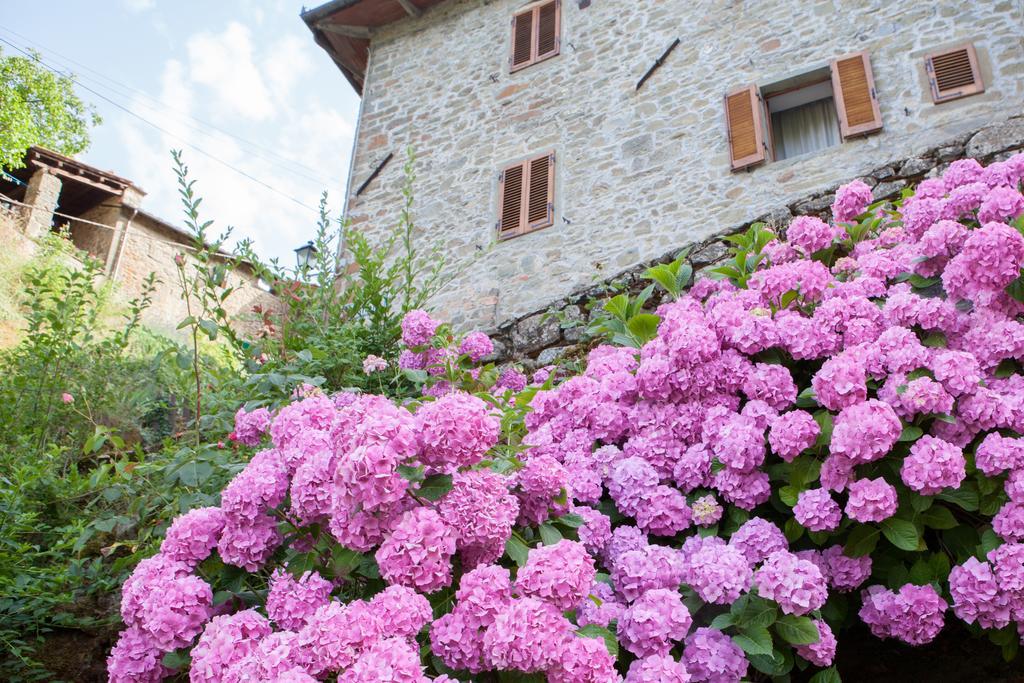 Ortignano Raggiolo Il Borgo Dei Corsi - Charming Holiday Apartments المظهر الخارجي الصورة